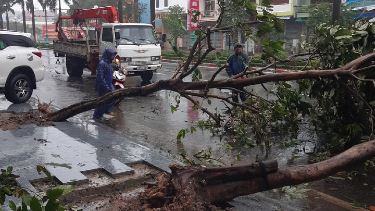 Storm Etau hits Phu Yen, Khanh Hoa with heavy rain and strong winds